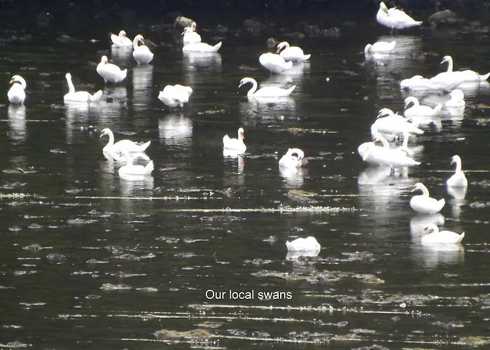 فندق مبيت وإفطار Maison Porte Del Marty